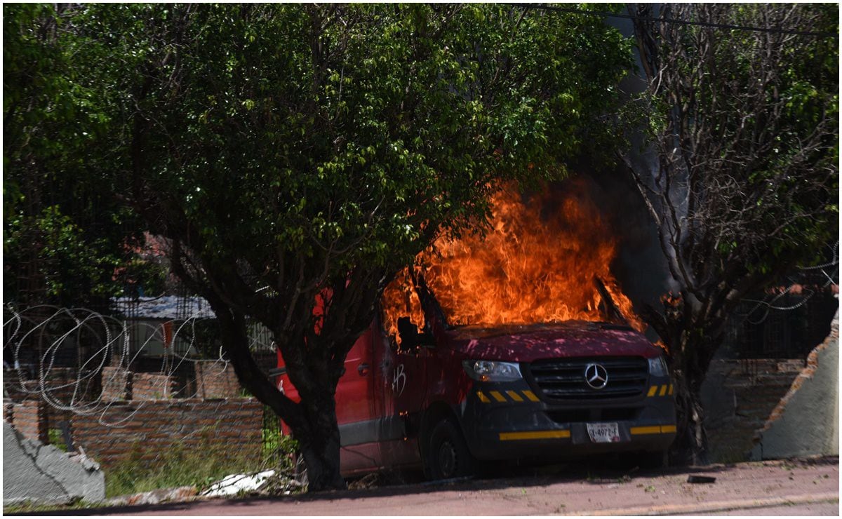 Trasladan a “Tita“, tigresa rescatada en operativo en Sinaloa; es llevada al santuario natural Ostokla