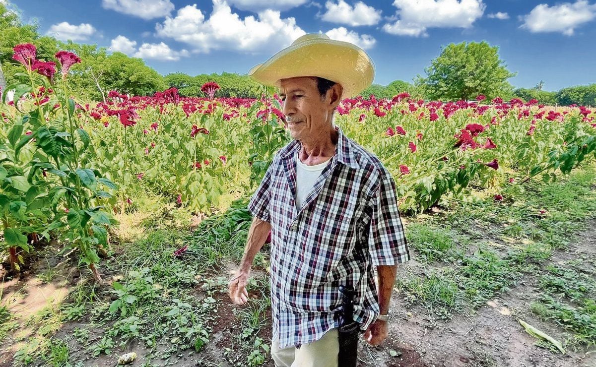 Sheinbaum niega que México sea paso de productos chinos; asegura que lo demostrará ante Canadá y EU