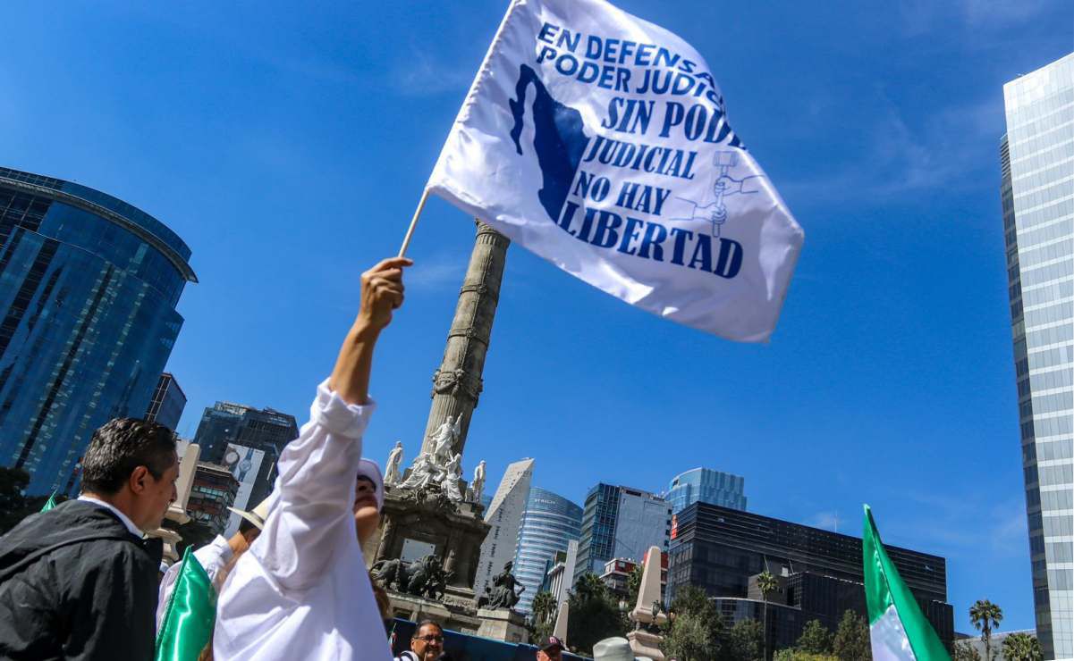 La planta mexicana que podría tener propiedades anticancerígenas