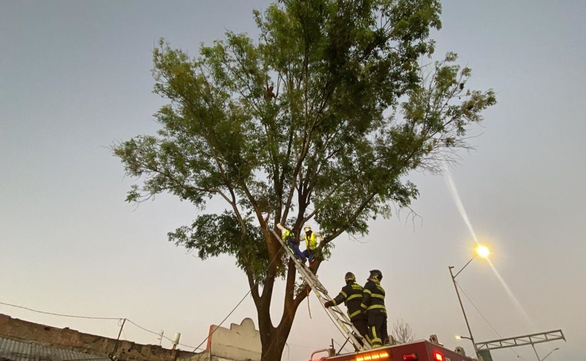 Alerta vial CDMX: sigue el minuto a minuto hoy, martes 26 de noviembre