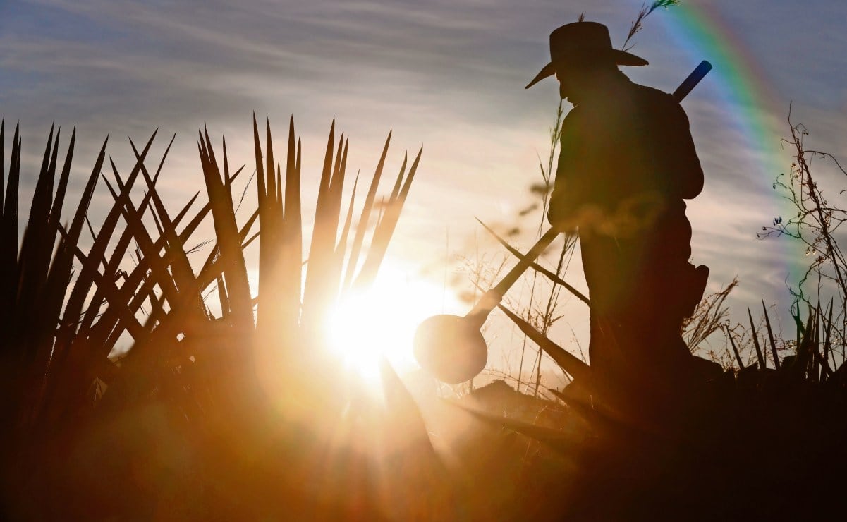 Más de 50 familias desplazadas por violencia en Chiapas regresan a sus viviendas; reabren centro turístico luego de años cerrado