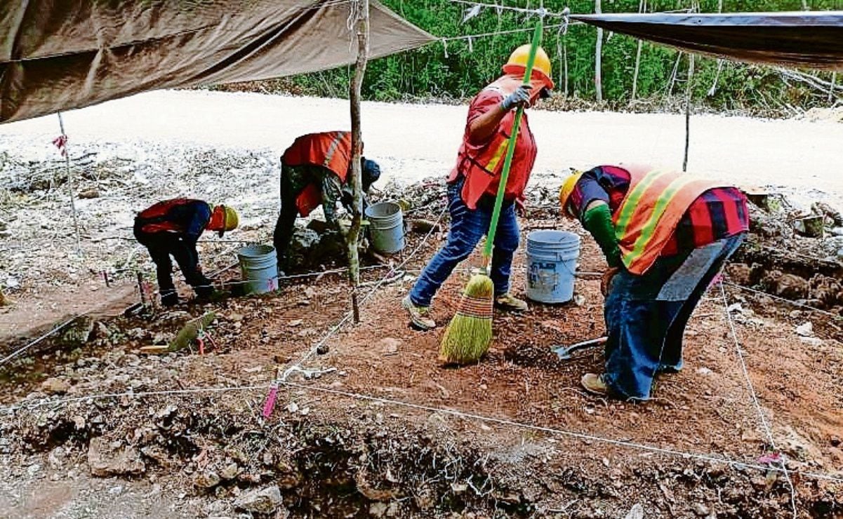 Morena celebra avances de estrategia de seguridad; Operativo Enjambre en Edomex ejemplo de compromiso, aseguran 