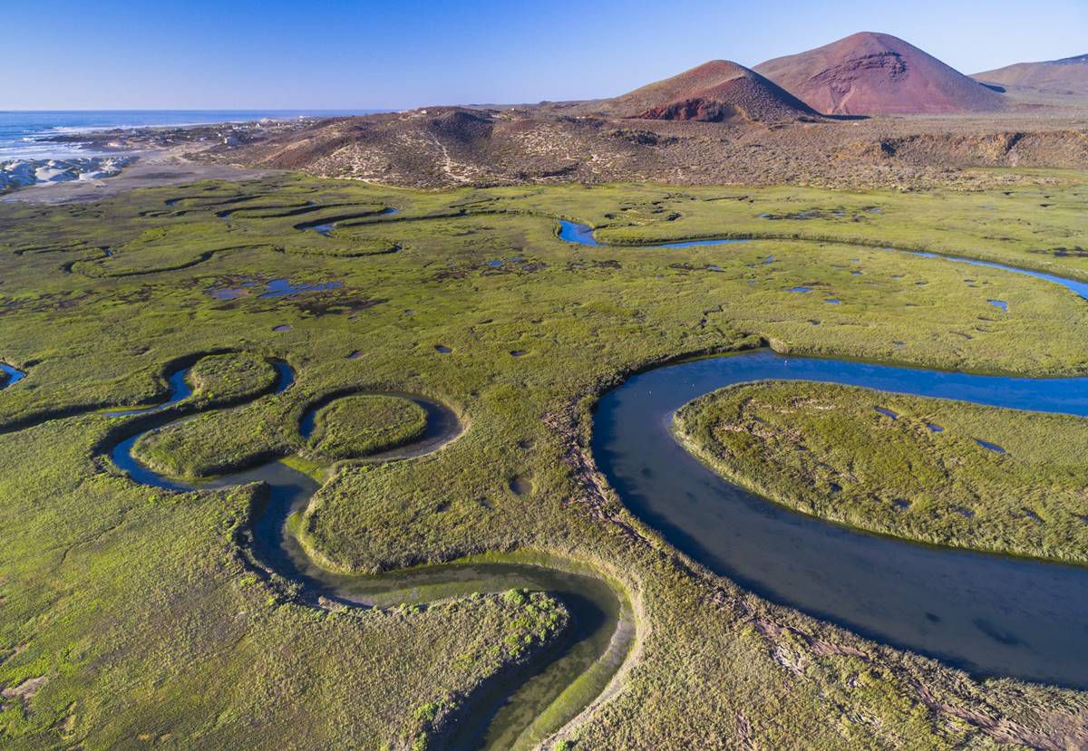 Se suman UNAM y gobernadores a pacto por el agua