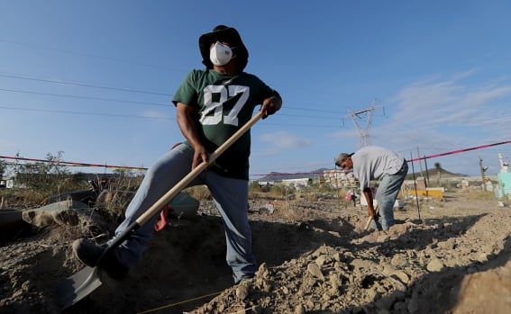 Durango y Coahuila toman medidas ante cierre a importación de ganado mexicano por gusano barrenador