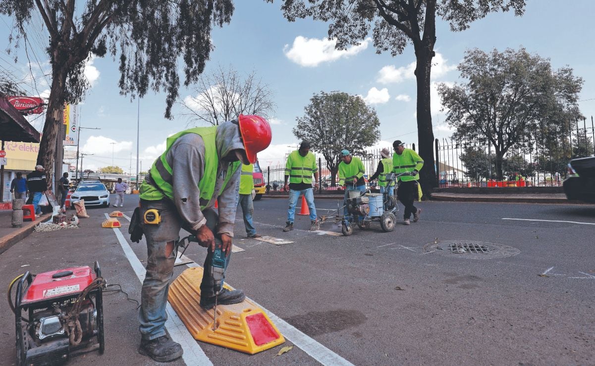 Gobierno demanda regularizar huertas de aguacate