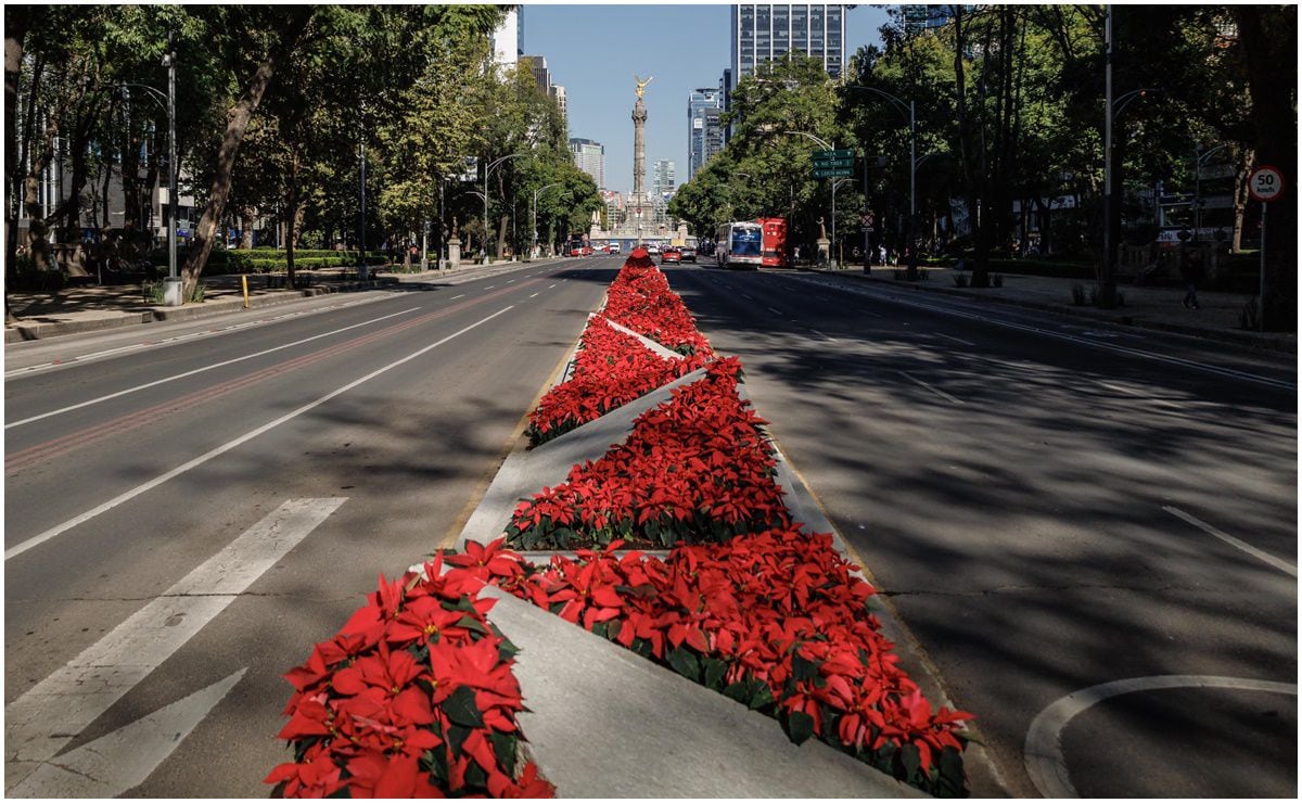 Qué habrá en Christmas In The Park de Six Flags México