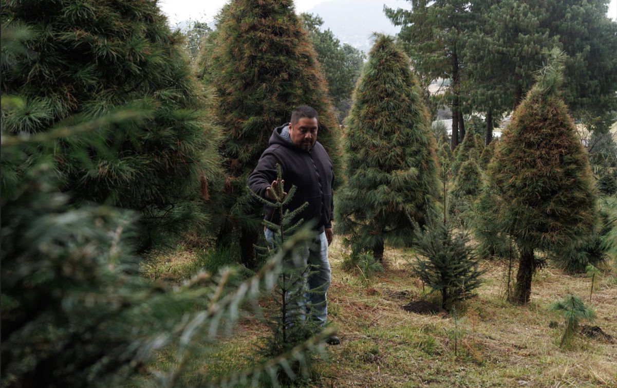 Dan último adiós a las víctimas