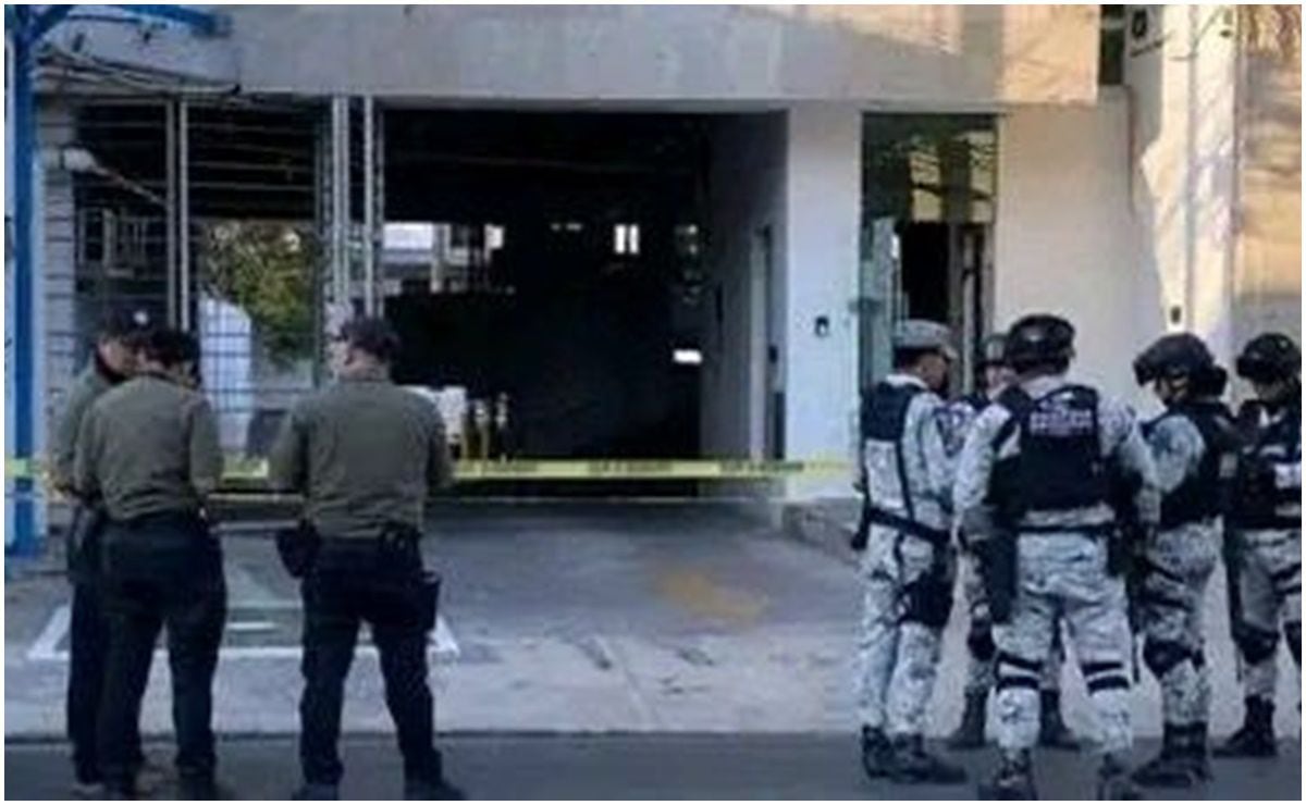 Suspenden actividades de otras 6 chelerías en Coyoacán; cometieron diversas irregularidades