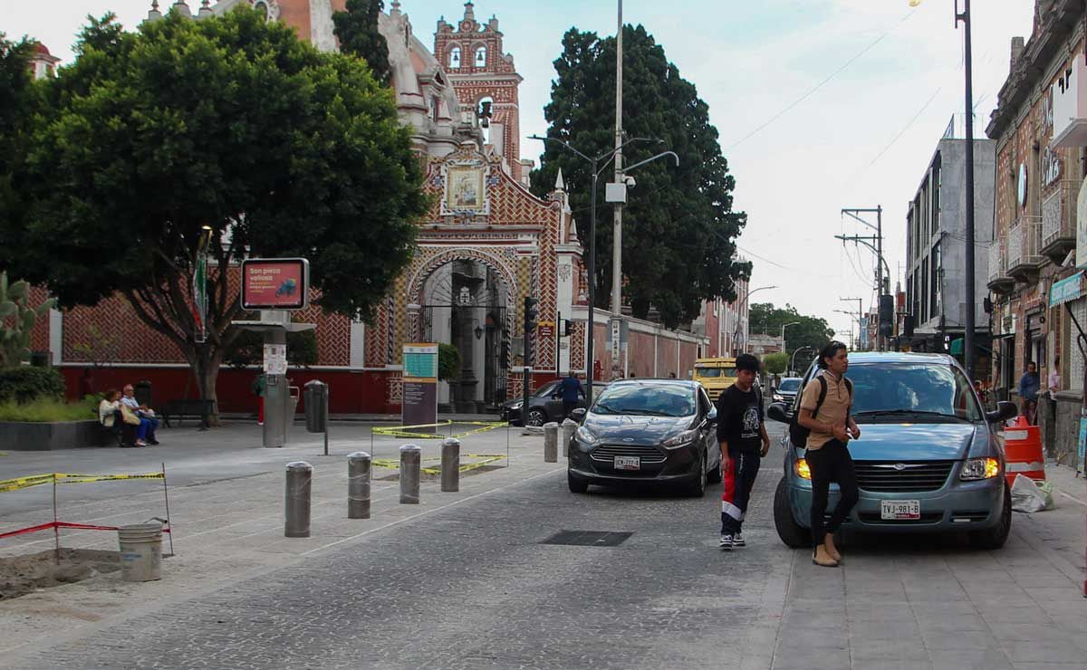 VIDEO: Ocho perritos se gradúan del Taller de Búsqueda y Rescate de Tlalpan 