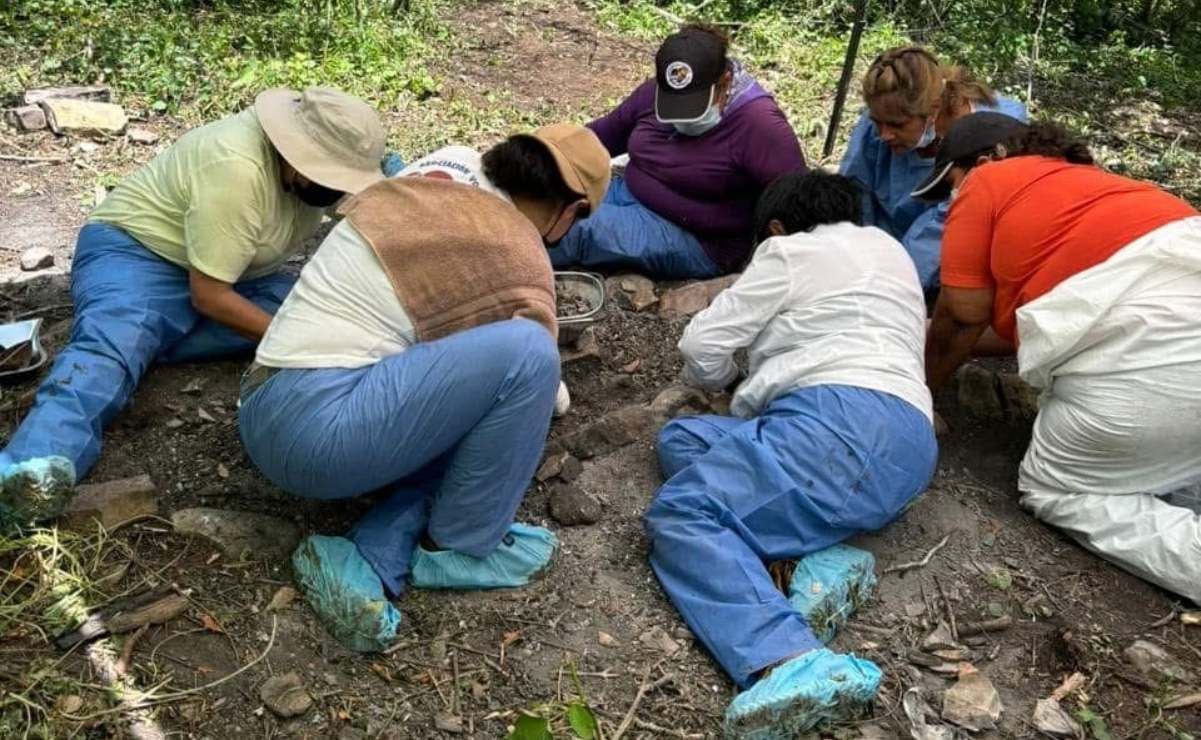 Operación Enjambre: Este domingo comienzan las audiencias contra 7 funcionarios del Edomex; estarían relacionados con varios cárteles