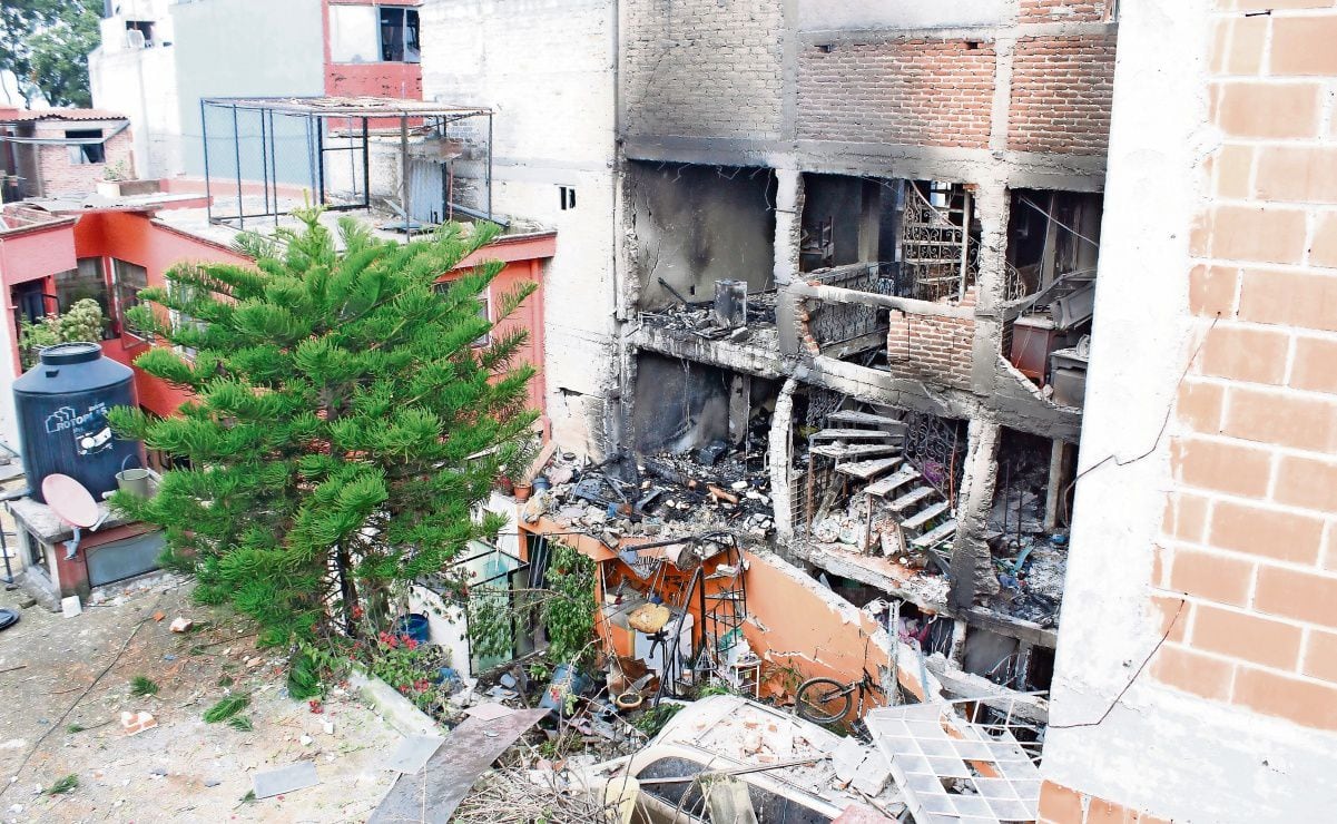 Fiscalía rescata a 24 perros y 29 palomas de albergue en la Benito Juarez; es detenida encargada del lugar