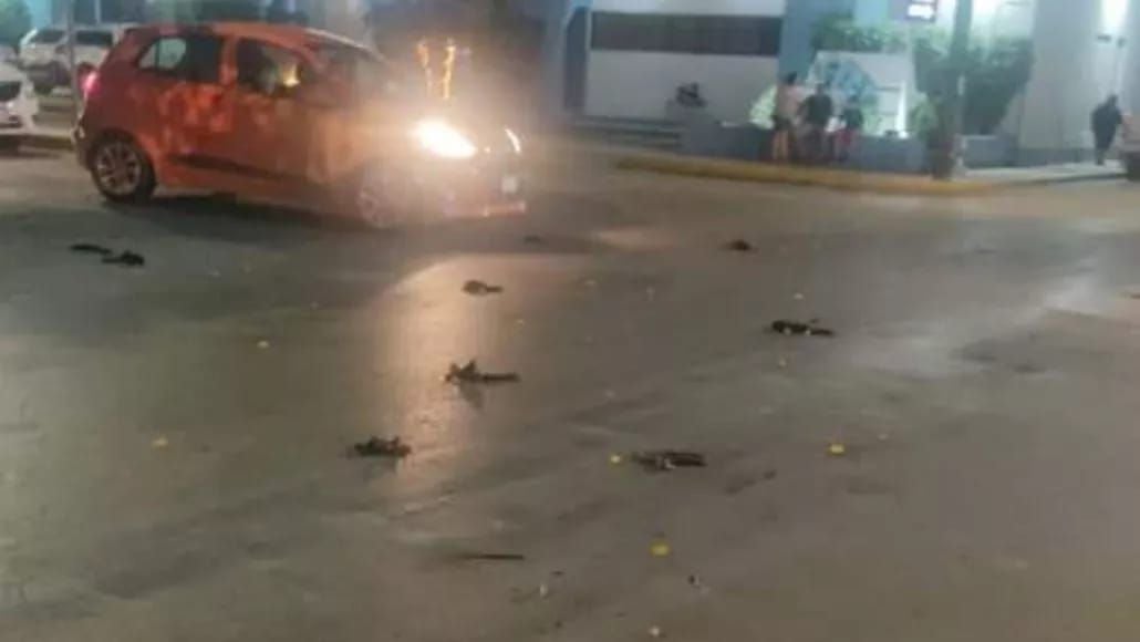 Usuarios reportan caída de ChatGPT; fallas se registraron desde mediodía