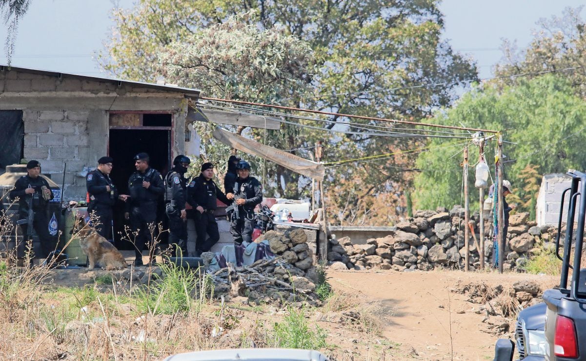 Nuevo intento de linchamiento en Yucatán; vecinos amarran a joven a un árbol en Kanasín y la policía llega a rescatarlo 