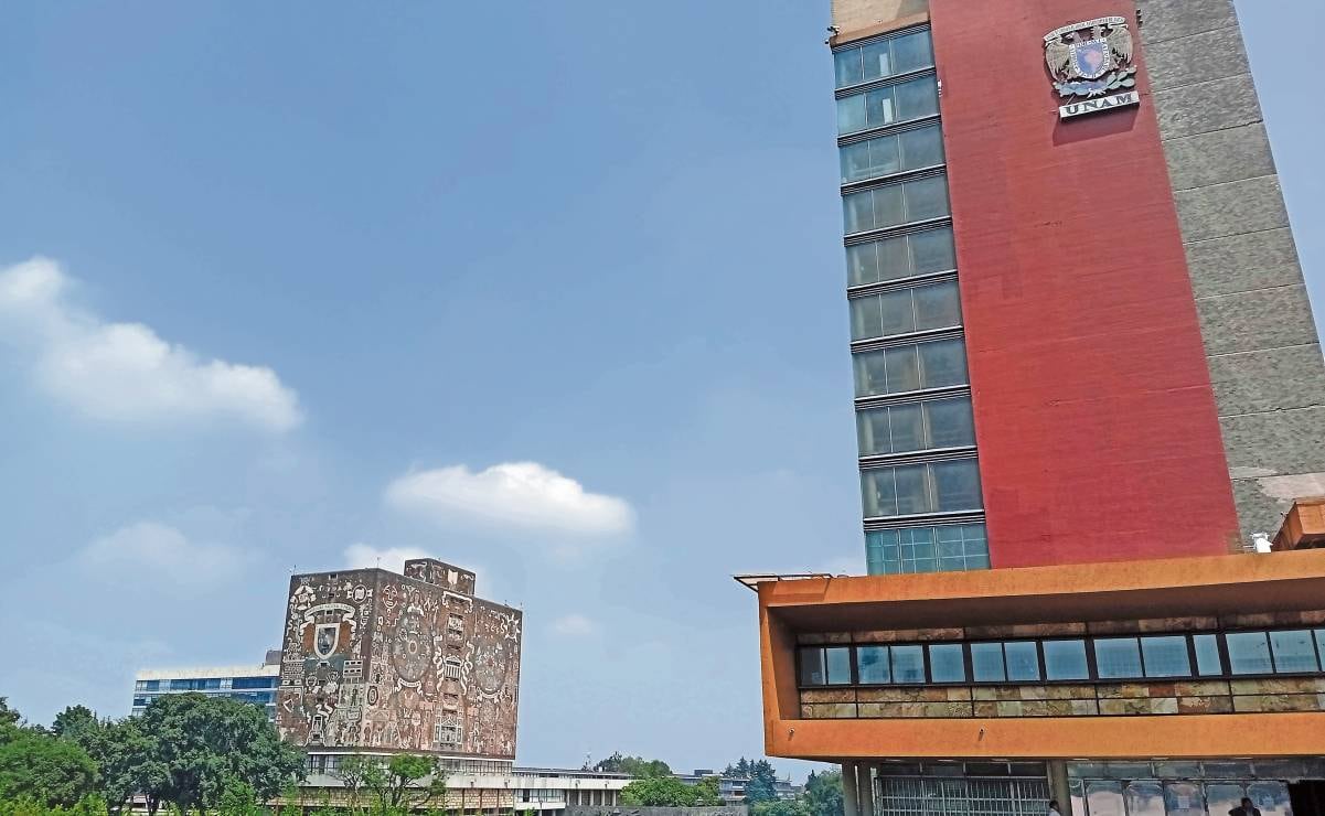 Camión que transportaba monos con hepatitis C, herpes y Covid se estrella en Mississippi; se escapa uno