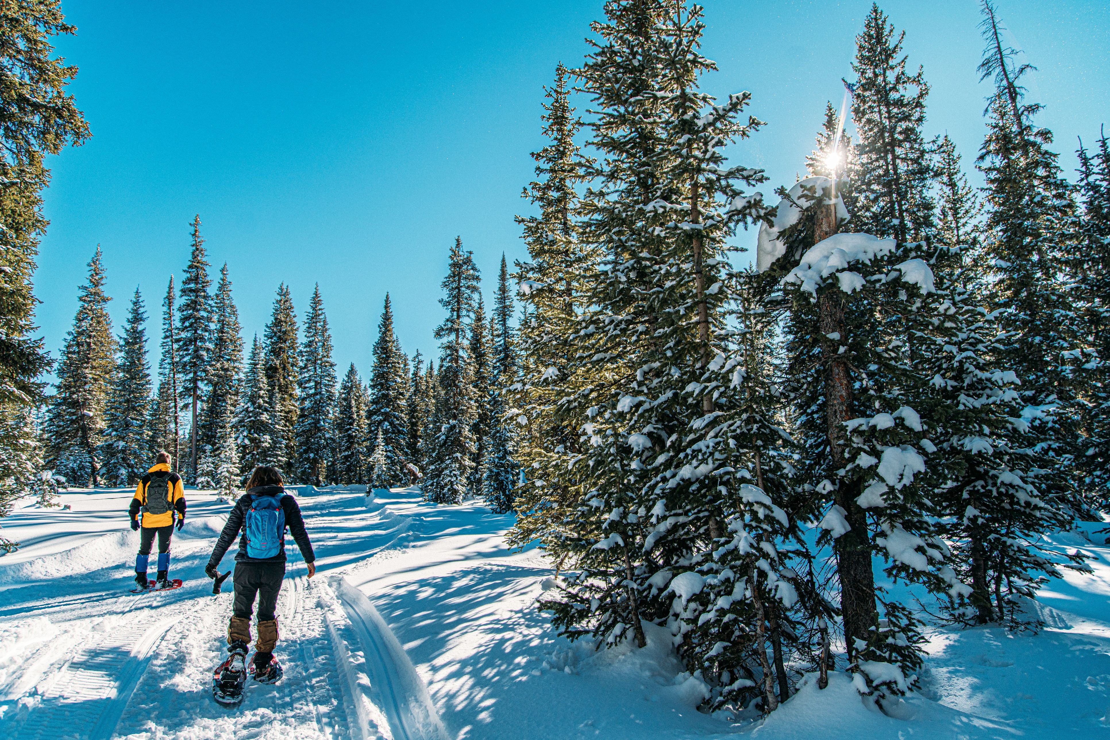 Lugares de Colorado con esquí y actividades de nieve para pasar el mejor invierno