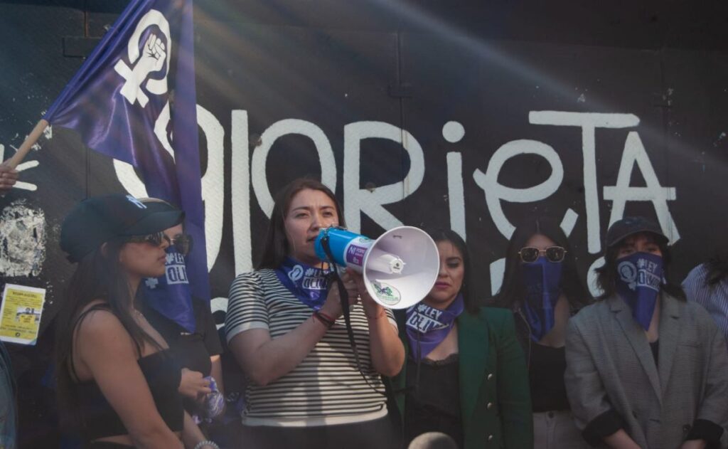 Las mujeres marcharon por las calles del centro de la capital para conmemorar el 25N.