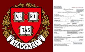 Así debe de ser el currículum perfecto, según Harvard