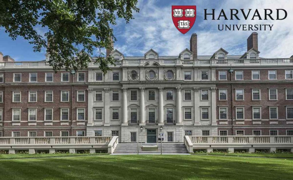 ¿Por qué la Universidad de Harvard ha dejado de contratar a profesores? 